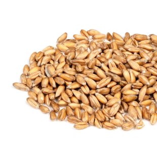 Spelt pillow | nature 